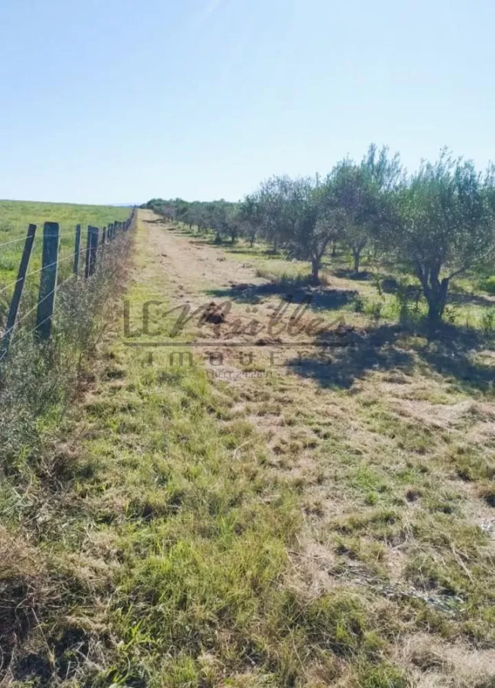 Fazenda, 24 m² - Foto 4