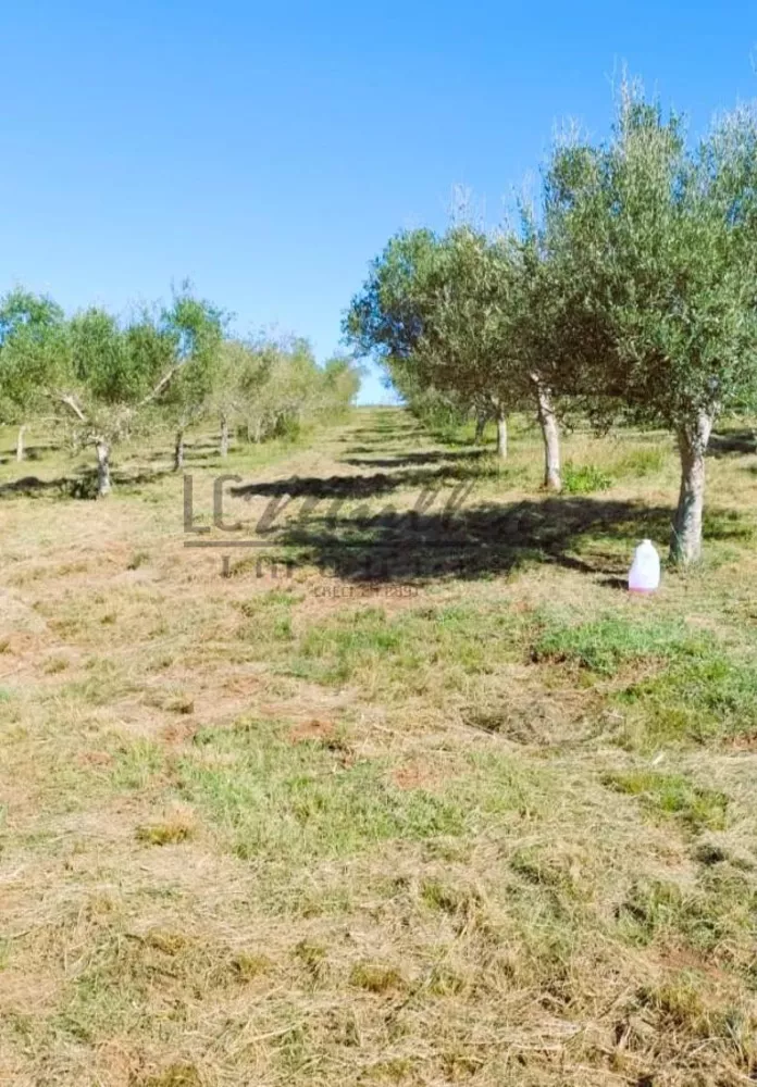 Fazenda, 24 m² - Foto 3