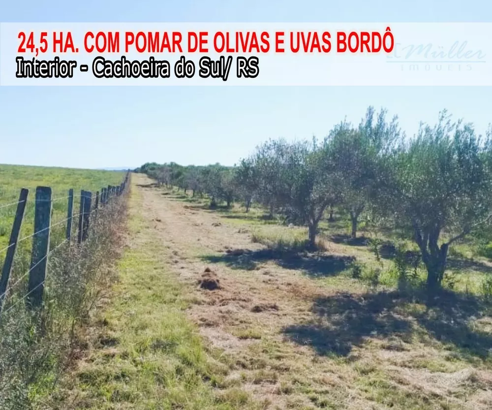 Fazenda, 24 m² - Foto 1