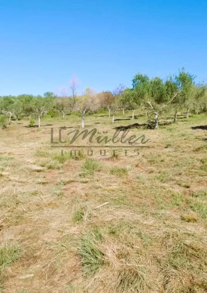 Fazenda, 24 m² - Foto 2