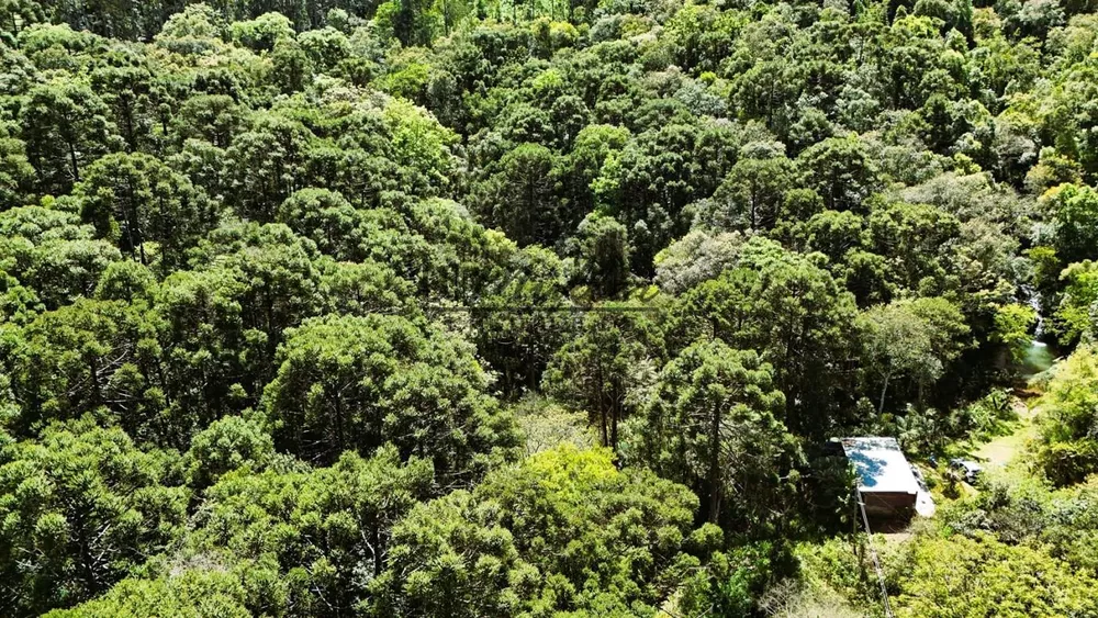 Chácara, 2 m² - Foto 3