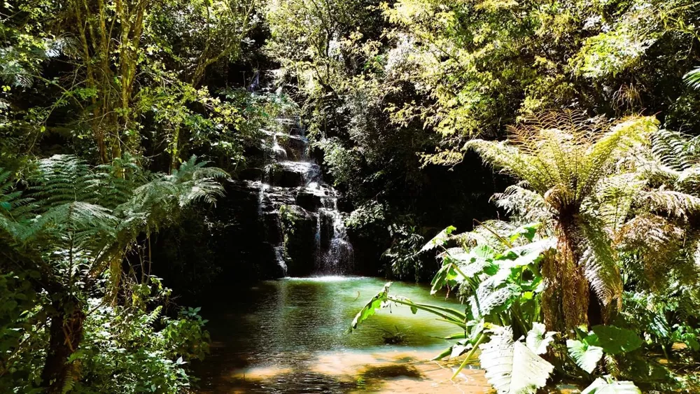 Chácara, 2 m² - Foto 1