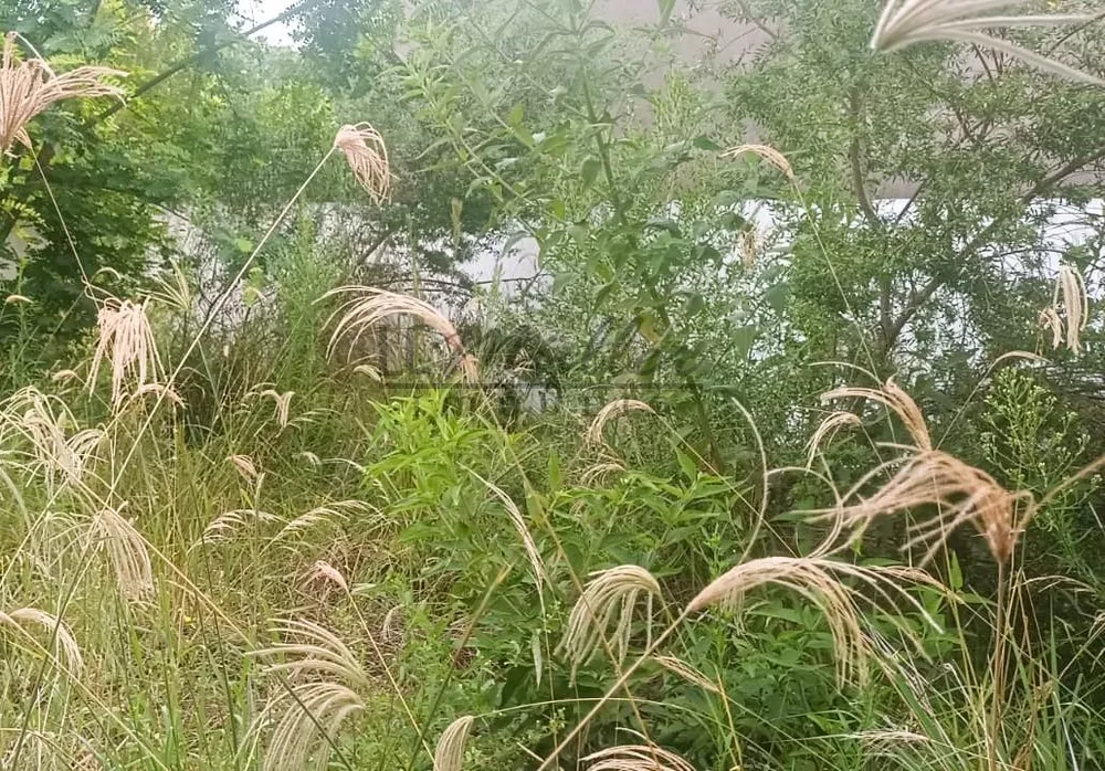 Prédio Inteiro - Foto 3