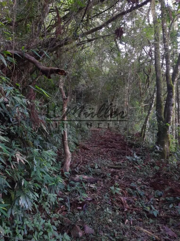 Fazenda, 49 m² - Foto 12