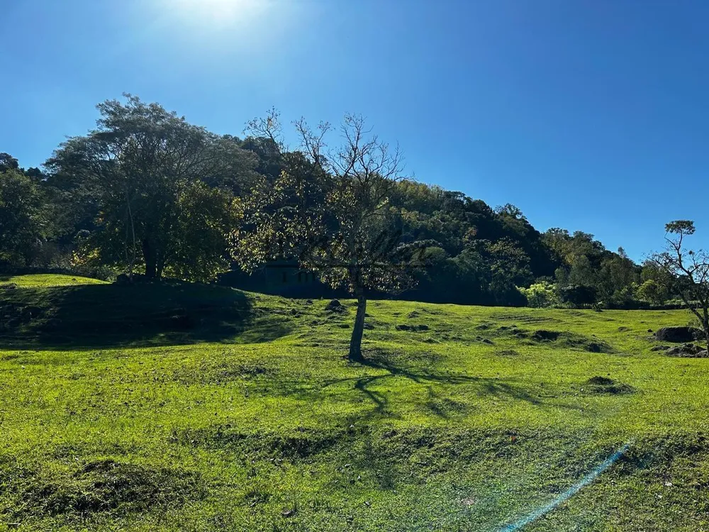 Fazenda, 49 m² - Foto 4