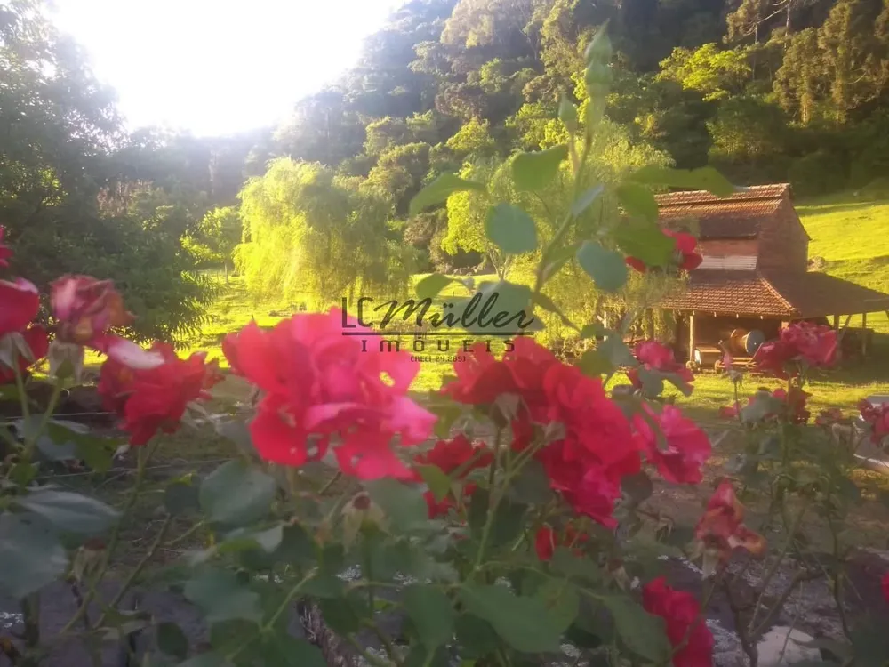 Fazenda, 49 m² - Foto 2