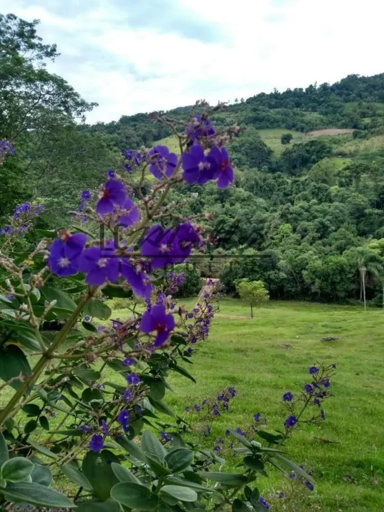 Fazenda, 49 m² - Foto 8