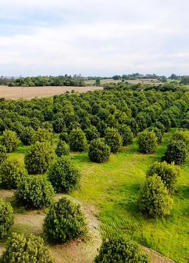 Fazenda, 11 m² - Foto 4