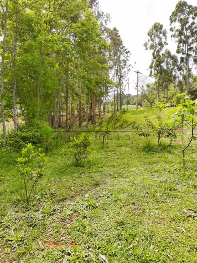 Chácara, 3000 m² - Foto 4