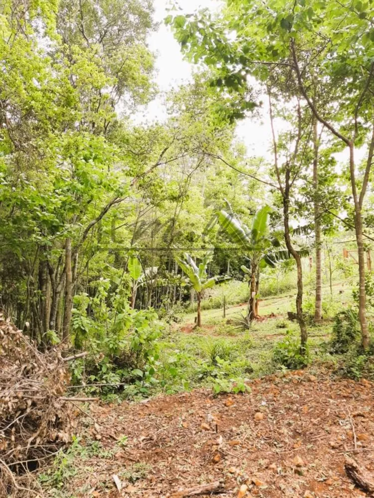 Chácara, 3000 m² - Foto 4