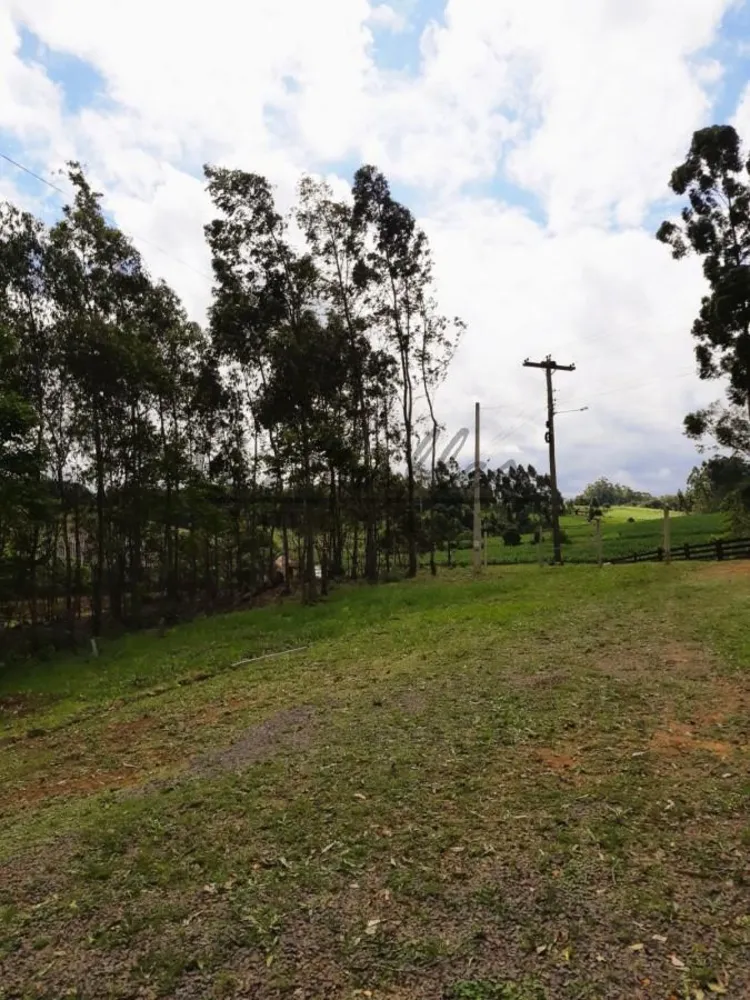 Chácara, 3000 m² - Foto 8