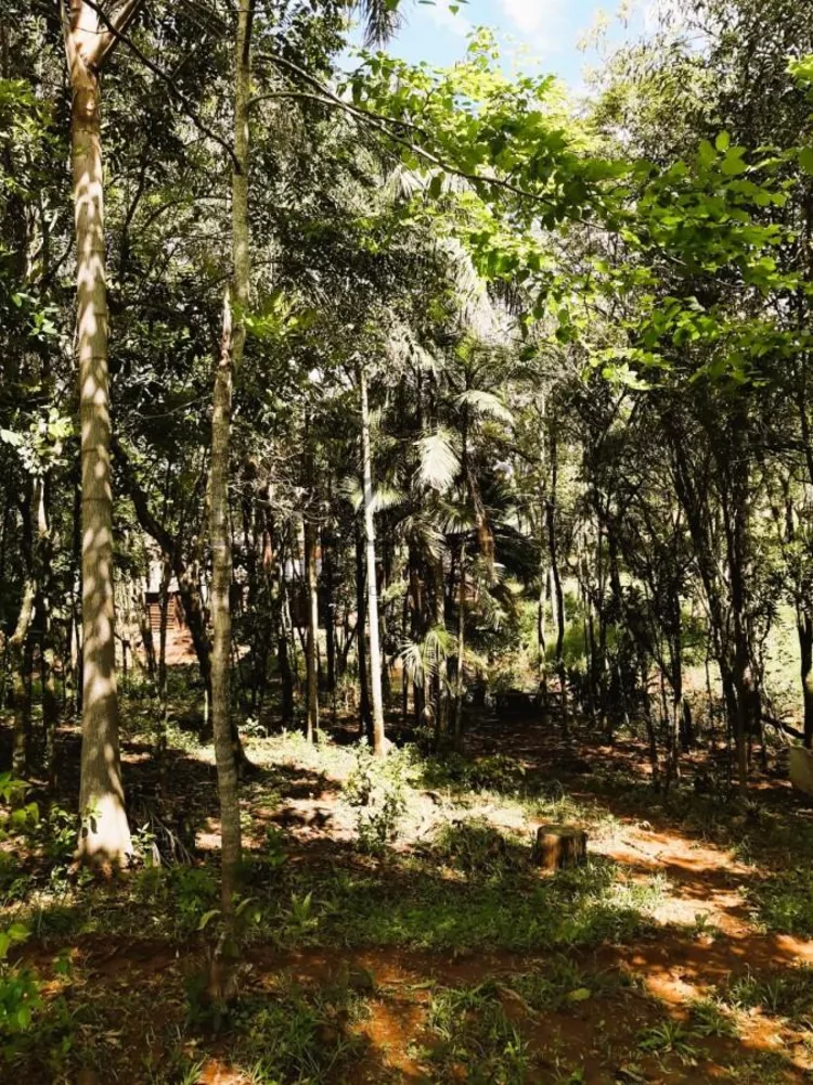 Chácara, 3000 m² - Foto 3