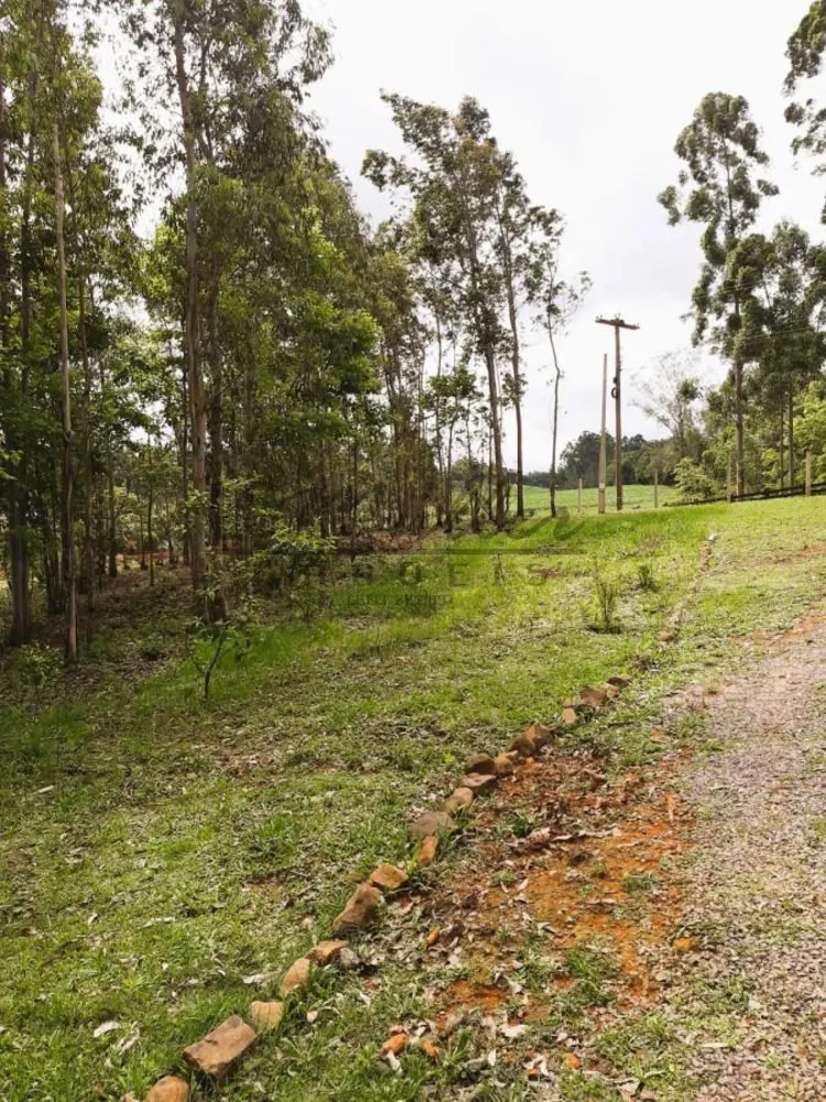 Chácara, 3000 m² - Foto 7