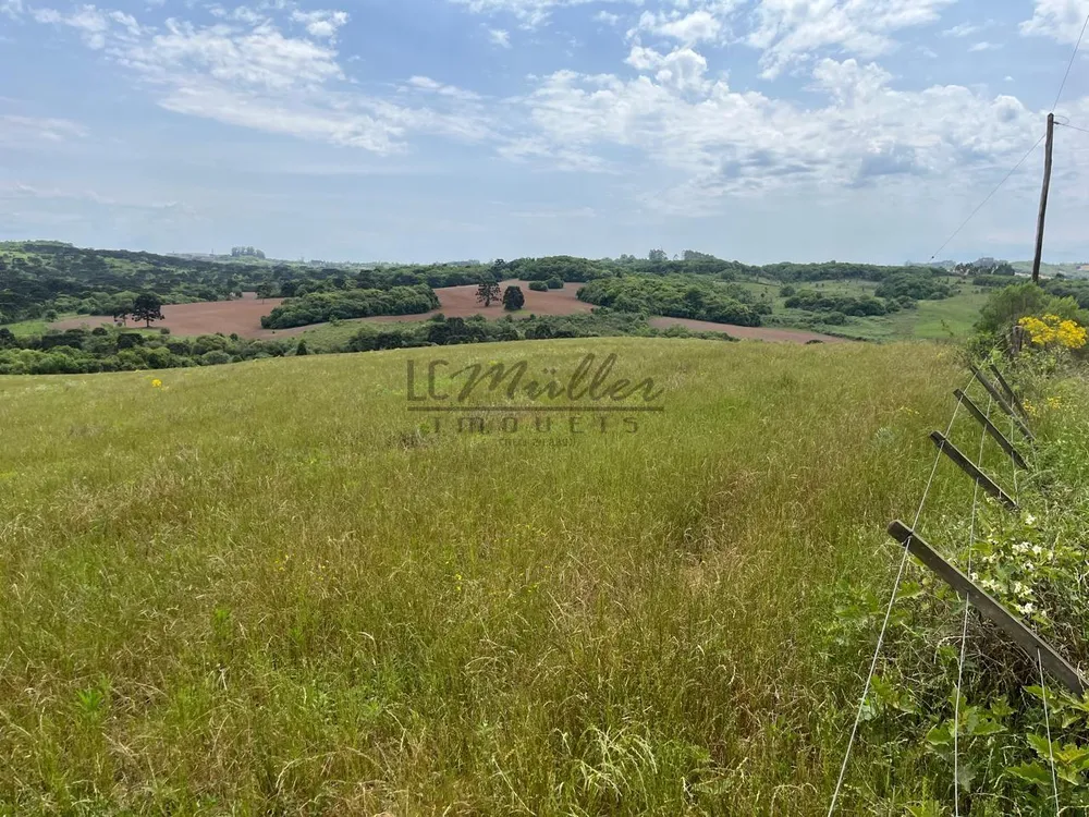 Fazenda, 37 m² - Foto 4