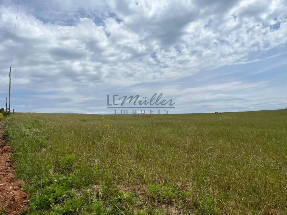Fazenda, 37 m² - Foto 3