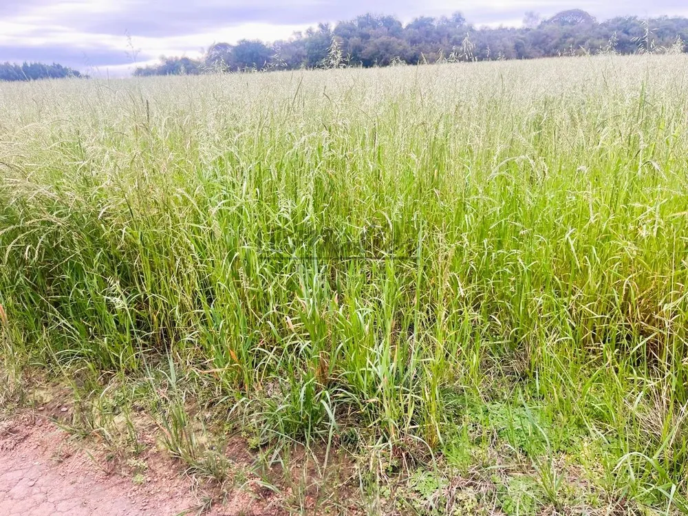 Fazenda, 60 m² - Foto 9