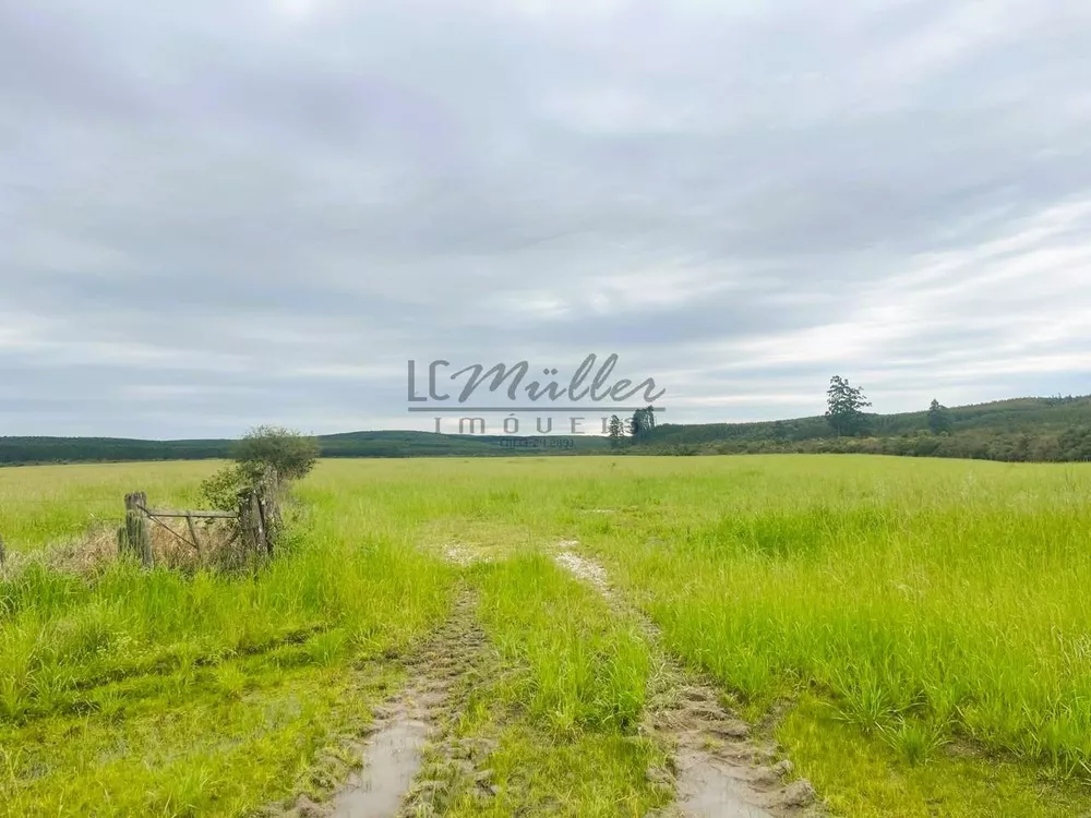 Fazenda, 60 m² - Foto 4