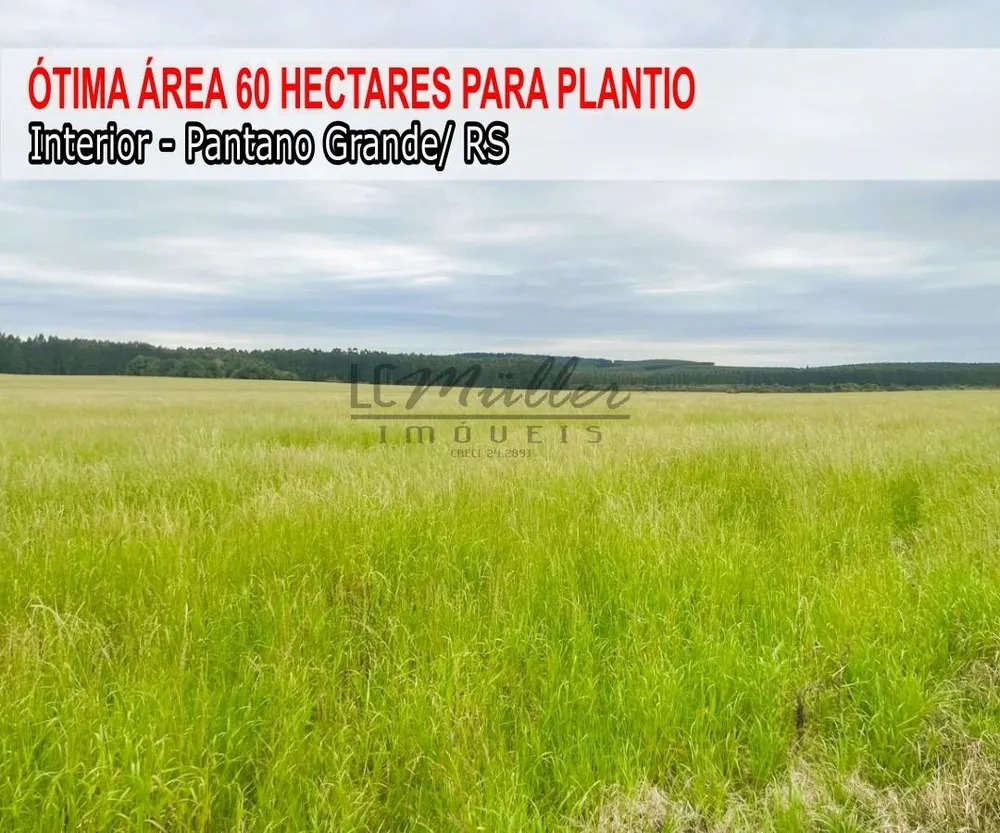 Fazenda, 60 m² - Foto 1