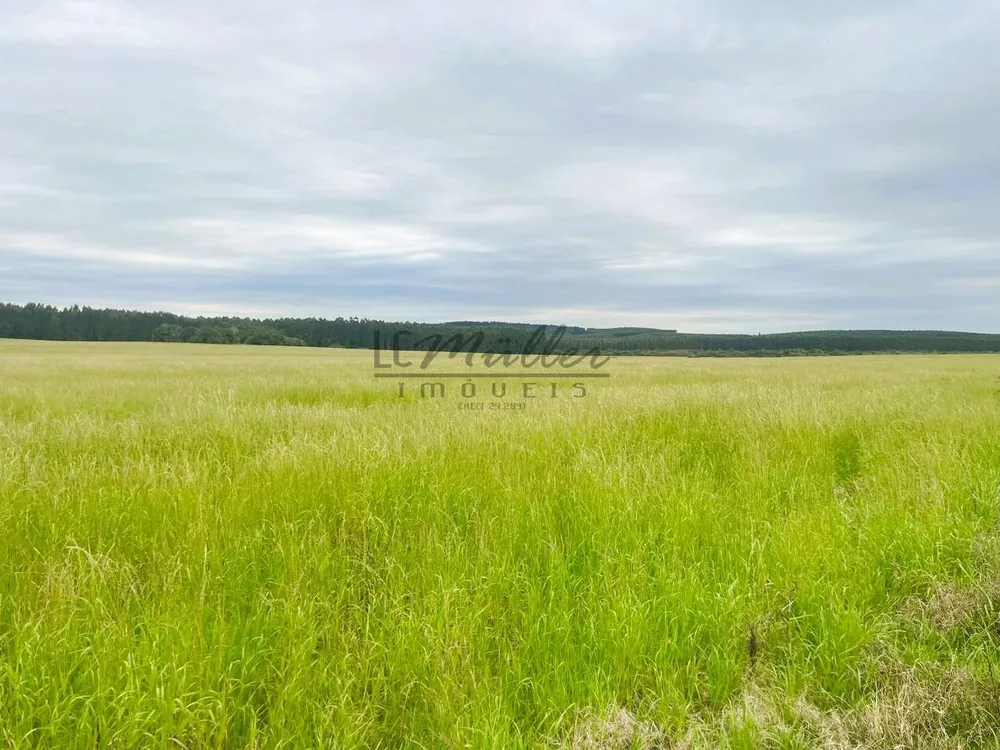 Fazenda, 60 m² - Foto 7