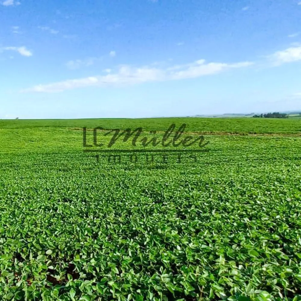 Fazenda, 428 m² - Foto 2