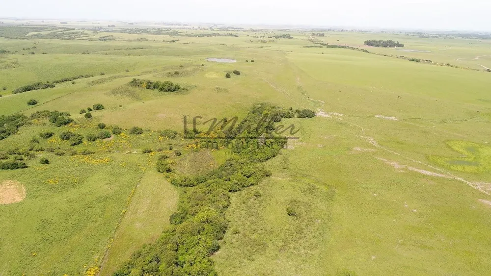 Fazenda, 860 m² - Foto 6