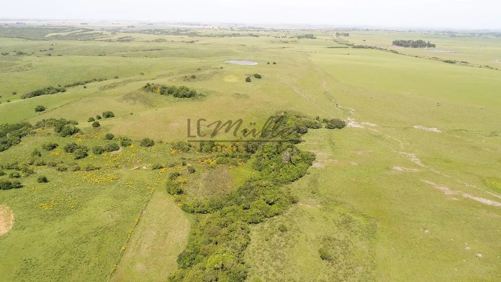 Fazenda, 860 m² - Foto 3