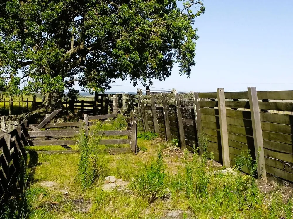 Fazenda, 812 m² - Foto 8