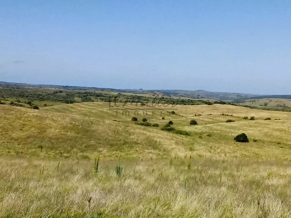 Fazenda, 812 m² - Foto 7