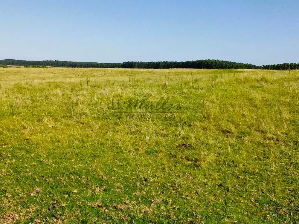 Fazenda, 812 m² - Foto 14