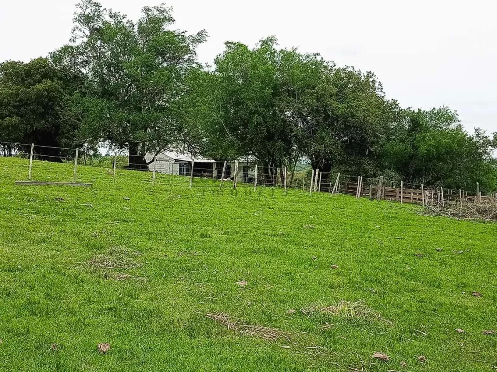Fazenda, 218 m² - Foto 6