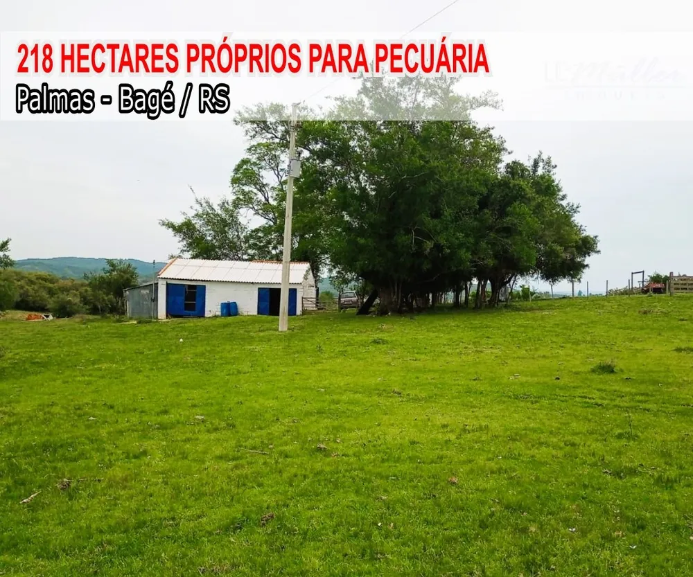 Fazenda, 218 m² - Foto 9