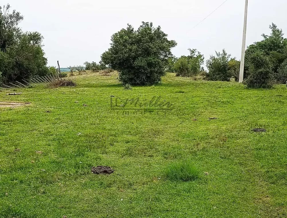 Fazenda, 218 m² - Foto 2