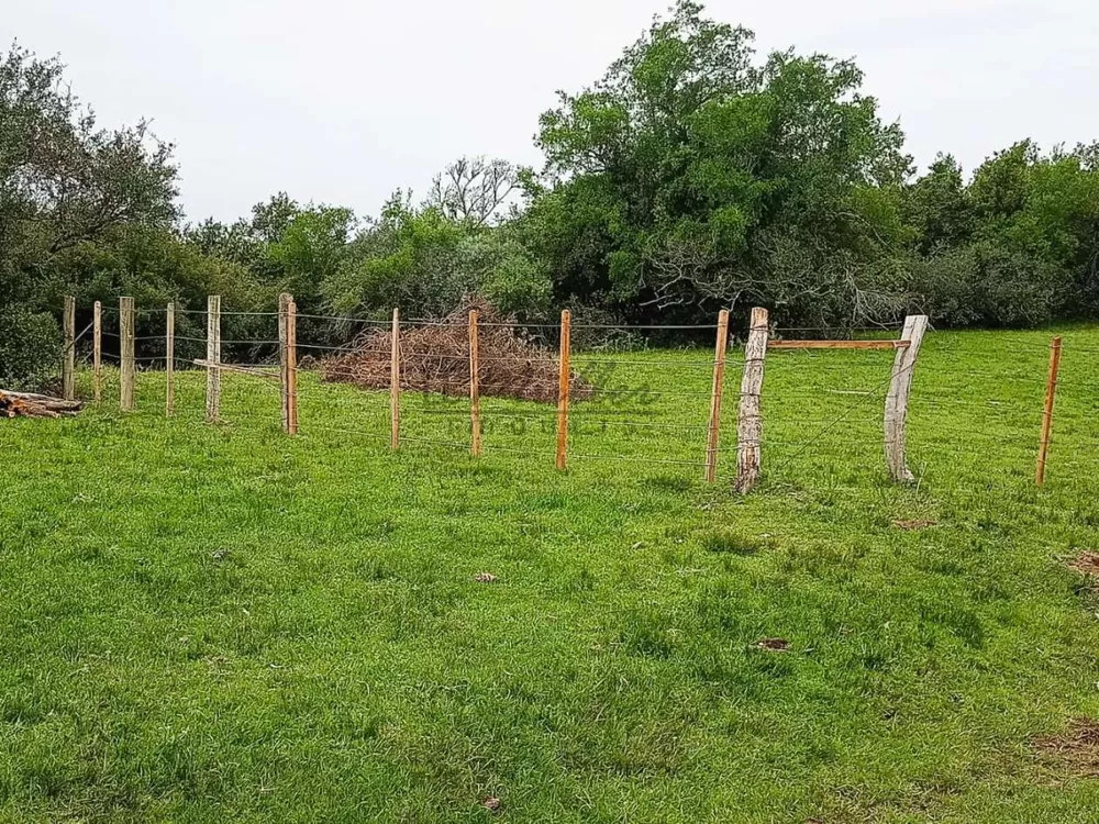 Fazenda, 218 m² - Foto 4