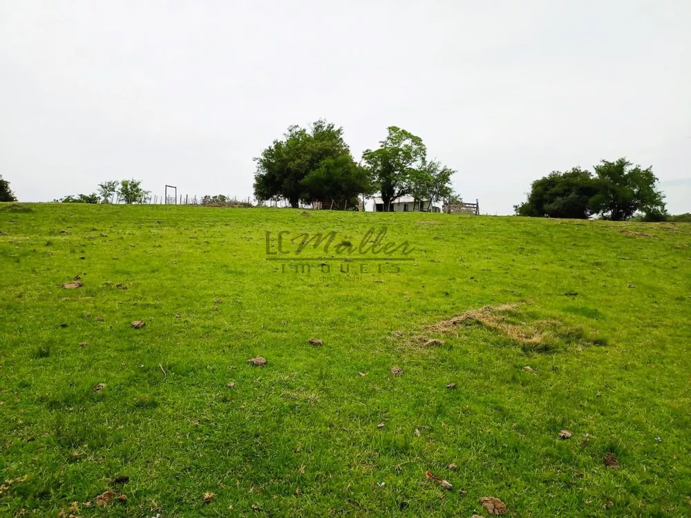 Fazenda, 218 m² - Foto 3