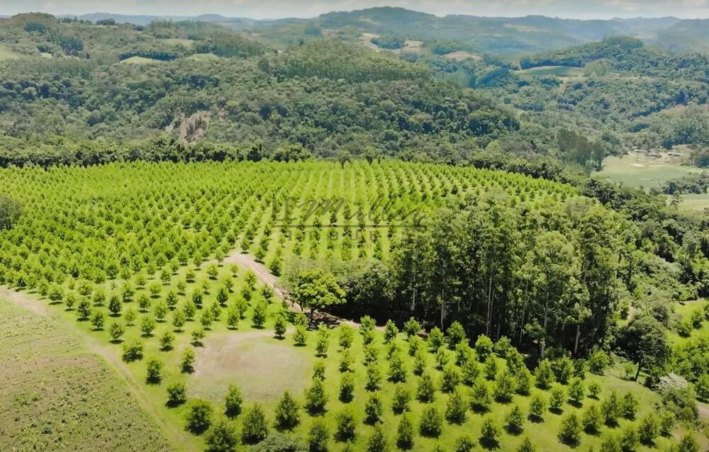 Fazenda, 20 m² - Foto 2