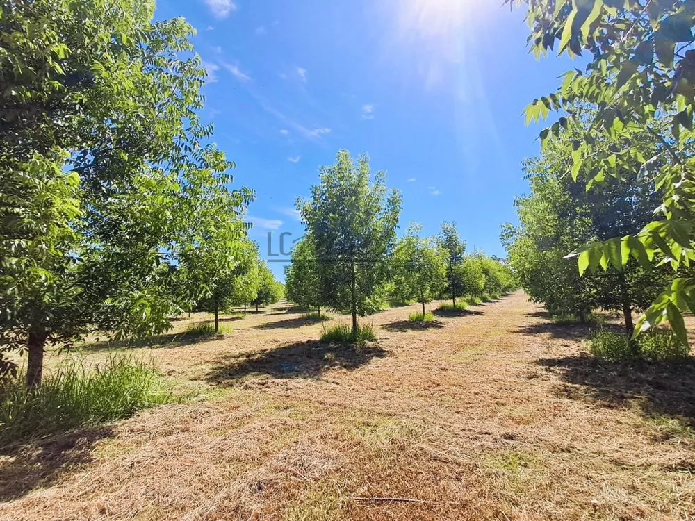 Fazenda, 20 m² - Foto 7