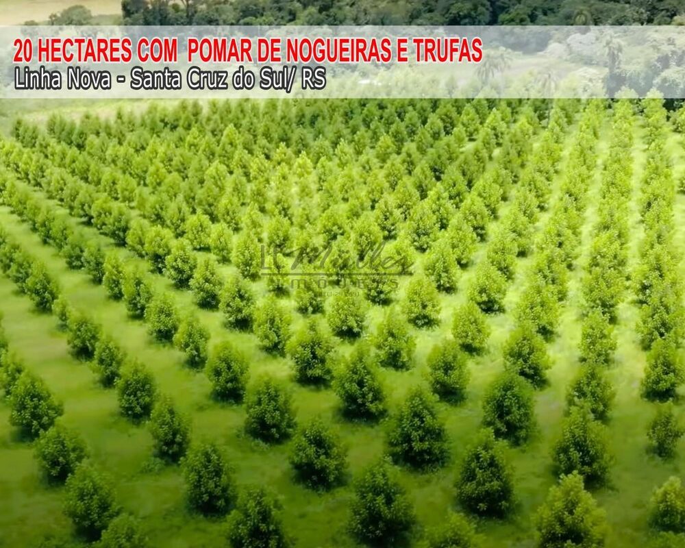 Fazenda, 20 m² - Foto 1