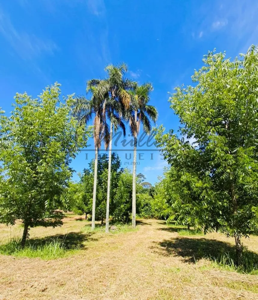 Sítio, 20 m² - Foto 11