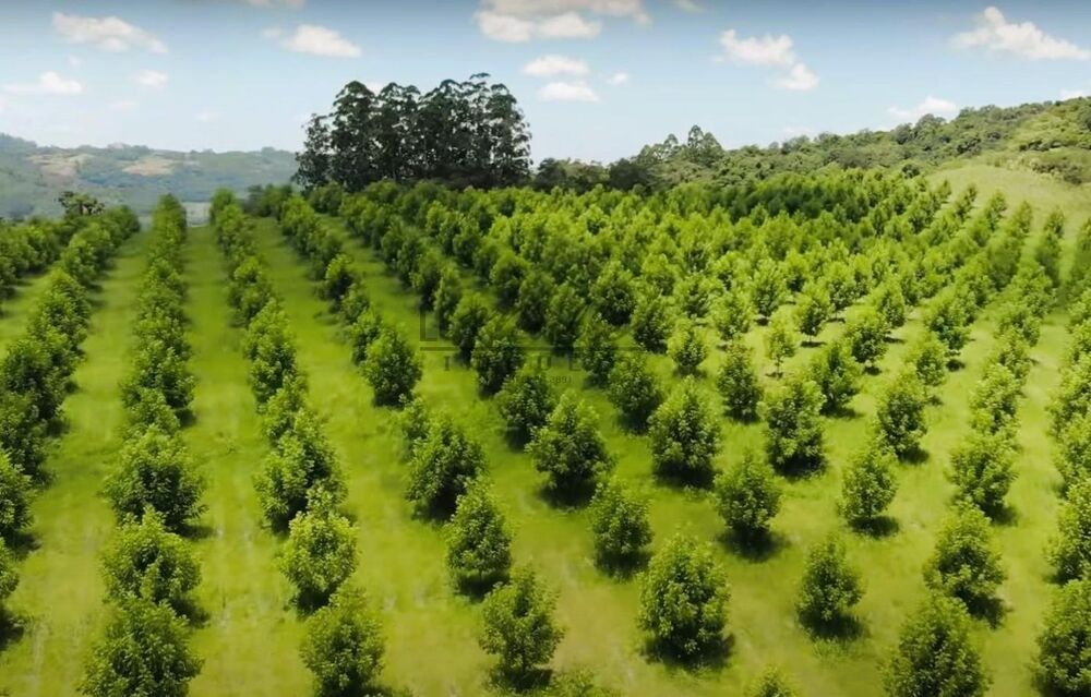 Fazenda, 20 m² - Foto 3