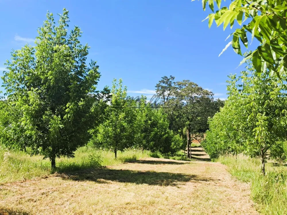 Fazenda, 20 m² - Foto 12