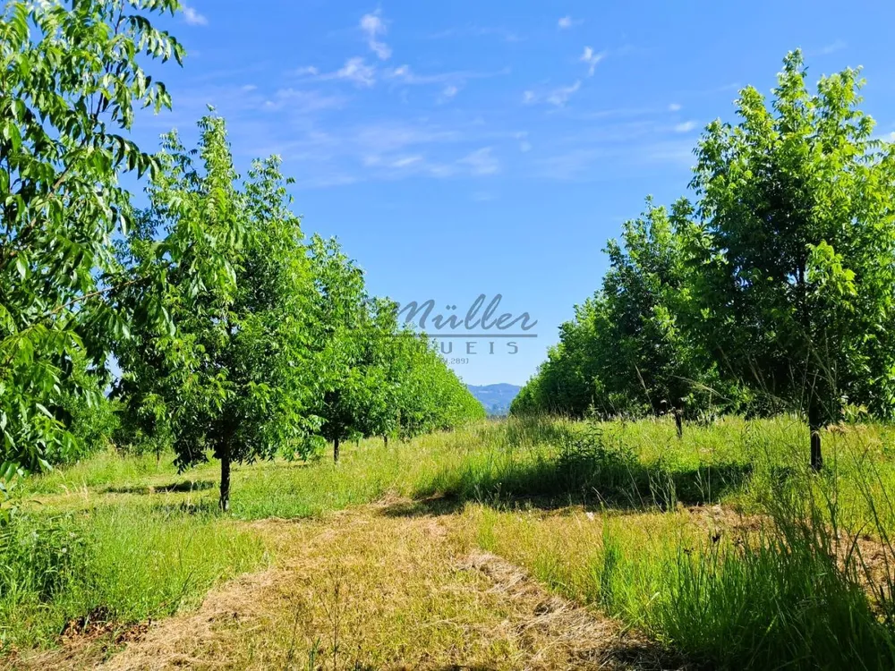 Fazenda, 20 m² - Foto 9