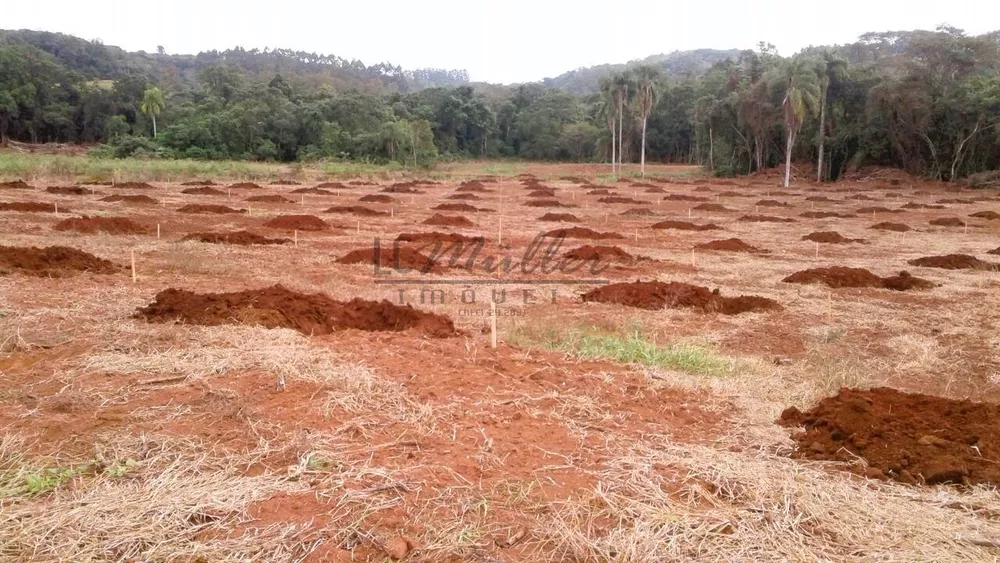 Fazenda, 20 m² - Foto 6