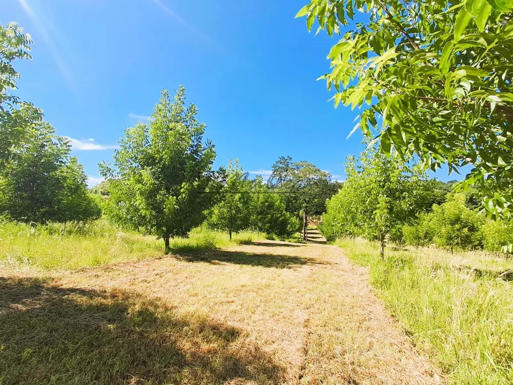 Fazenda, 20 m² - Foto 6