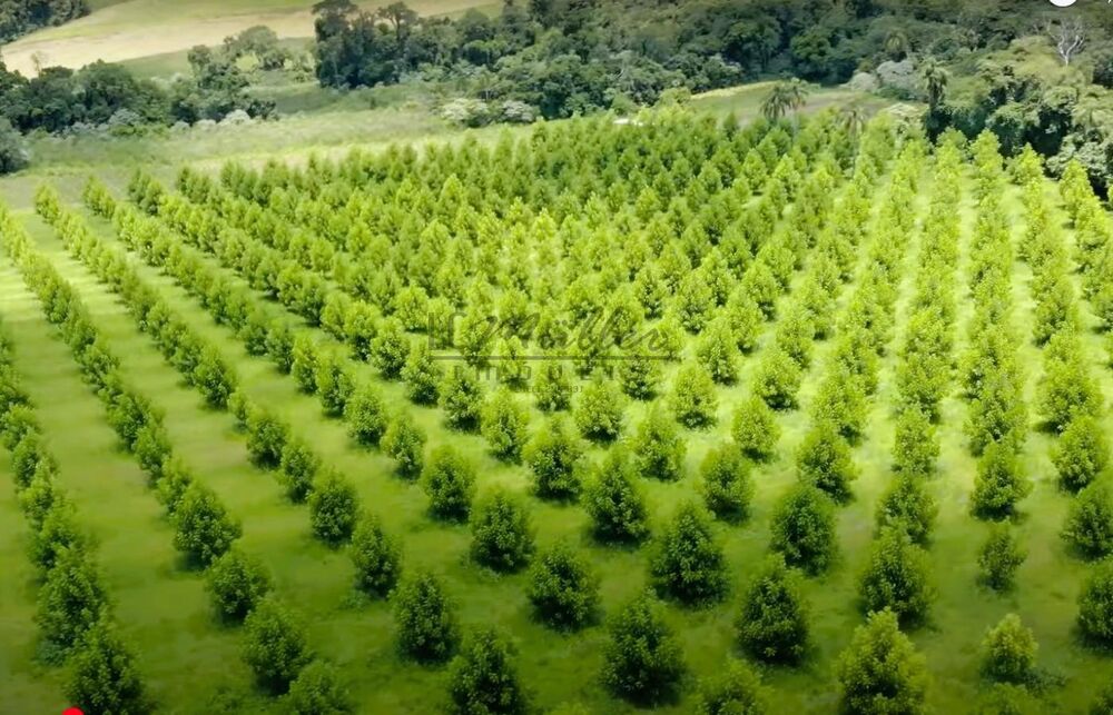 Fazenda, 20 m² - Foto 4