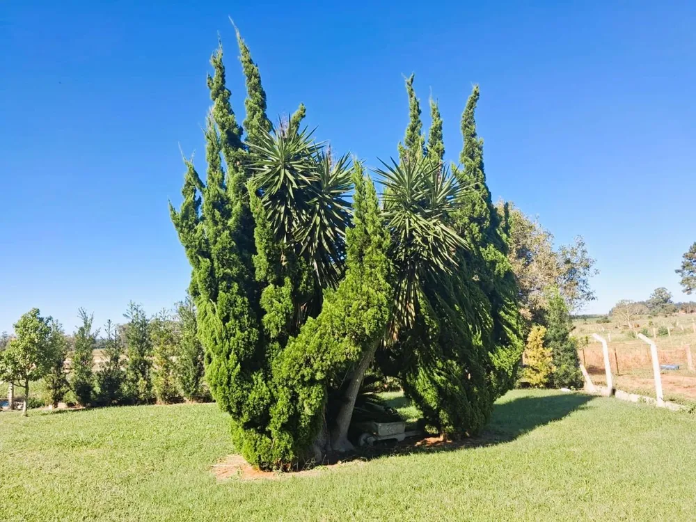 Fazenda, 3850 m² - Foto 4