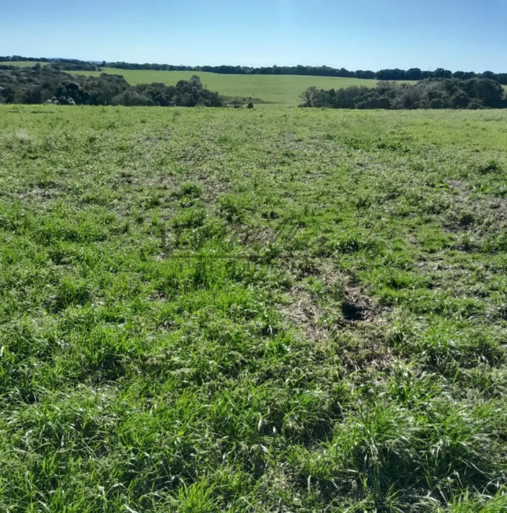 Fazenda, 375 m² - Foto 4