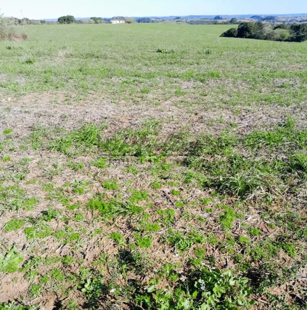 Fazenda, 375 m² - Foto 10