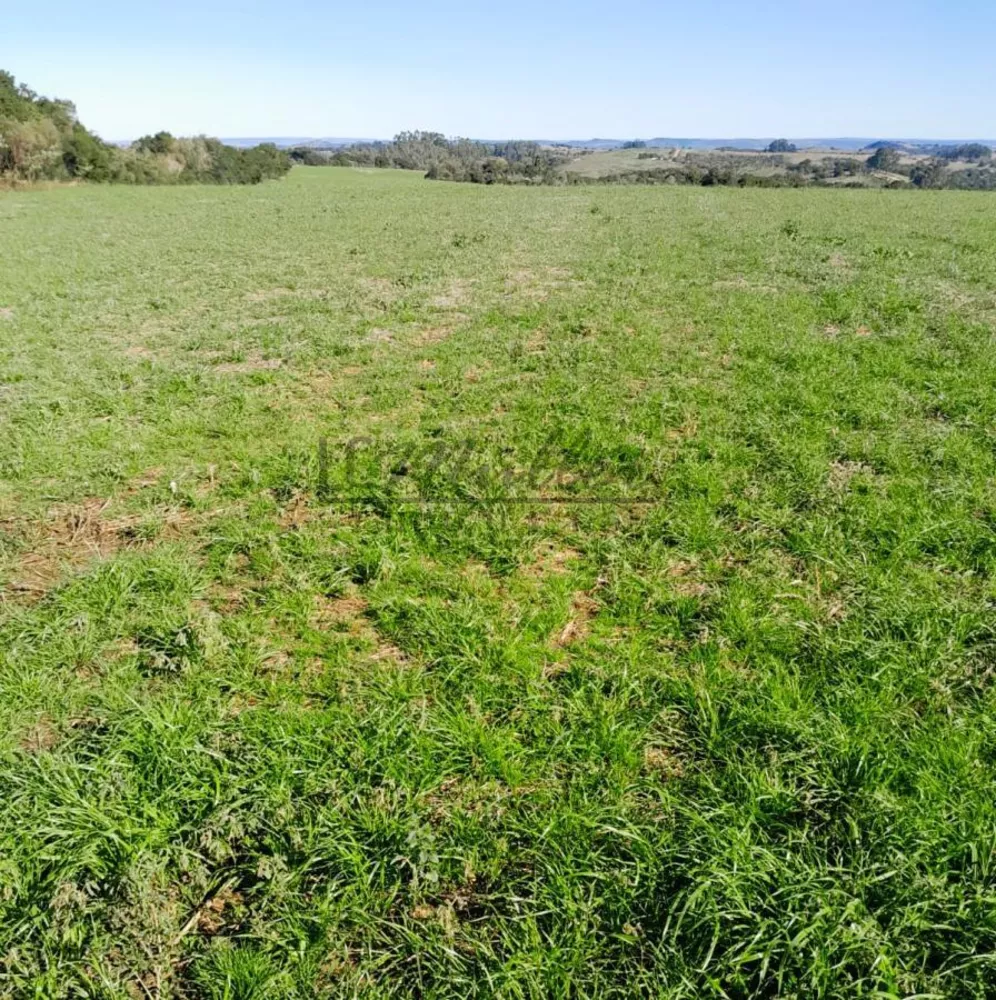 Fazenda, 375 m² - Foto 3