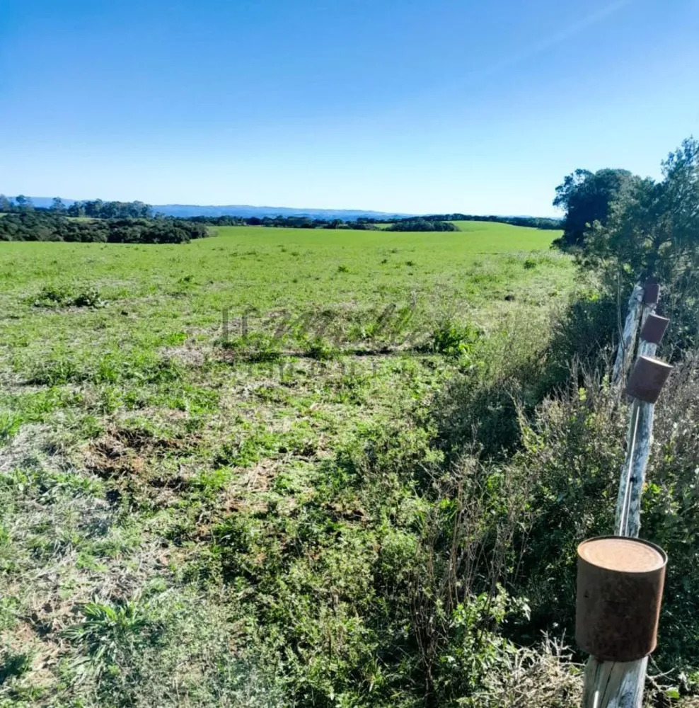 Fazenda, 375 m² - Foto 8