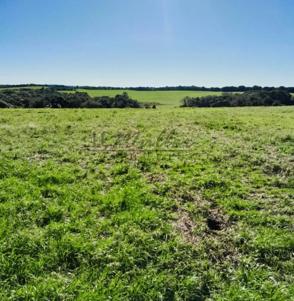 Fazenda, 375 m² - Foto 2